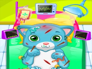Play ASMR Cat Doctor Clinic online free